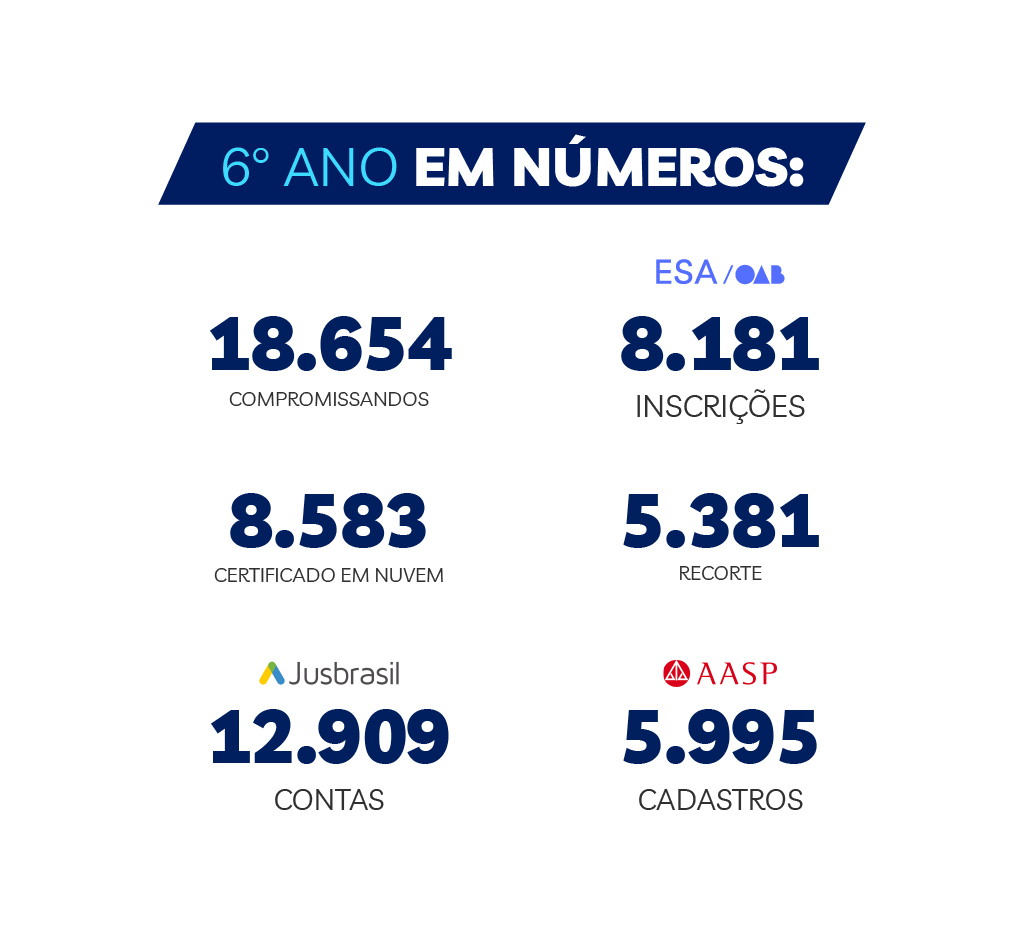 6º Ano em números
